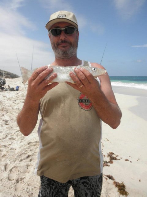 400mm Sand Whiting 400mm Sand Whiting