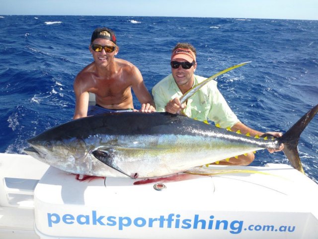 Awesome Exmouth Yellowfin