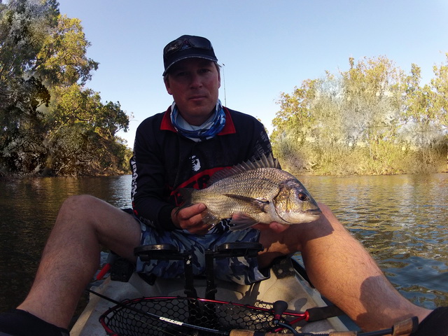 Late Arvo Bream Late Arvo Bream