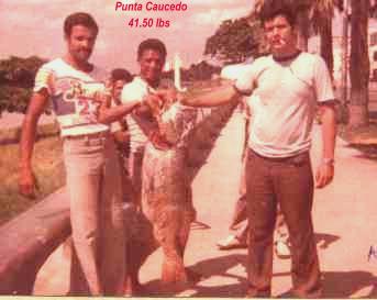 Another OLD Dominican Dog Snapper