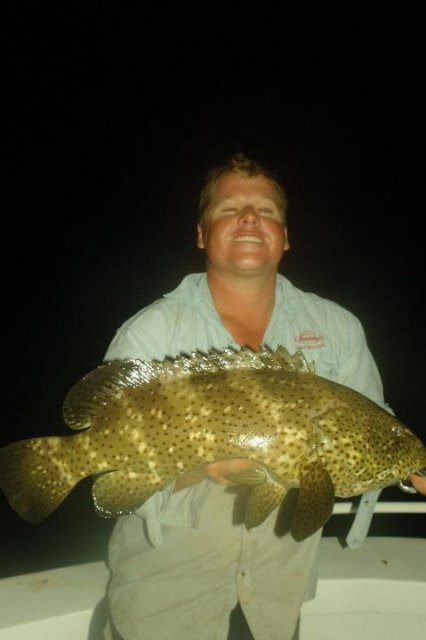 82 malabar cod 82 malabar cod