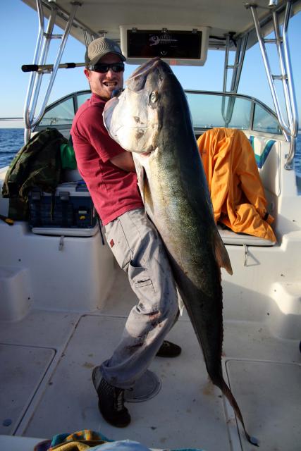 102lb French Amberjack caught by Jeje