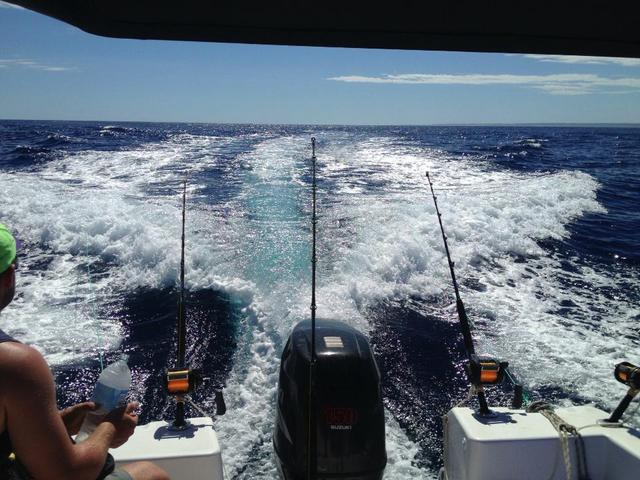 here billie billie billie....(there is one in our spread in this photo it just didnt show up) here billie billie billie....(there is one in our spread in this photo it just didnt show up)