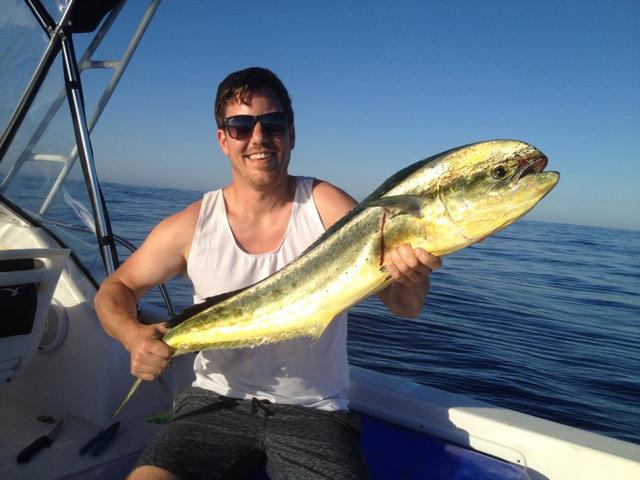 Early season dollie....decent size for a early season. Early season dollie....decent size for a early season.