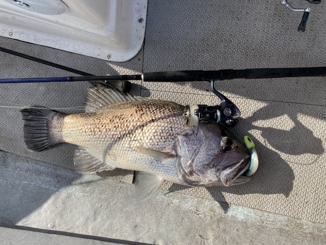 Little dhuie Little dhuie