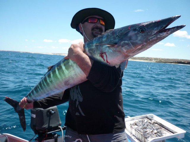 Franks inshore 18kg wahoo 