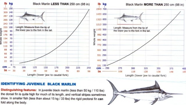 Marlin weight to length chart