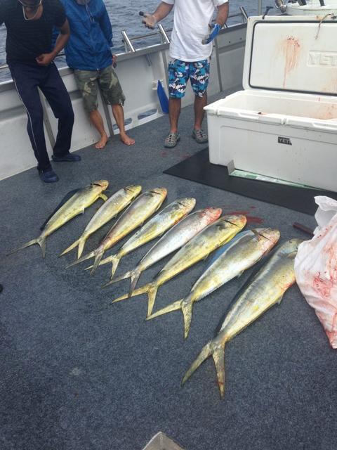 jurien fad update jurien fad update