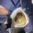 Inside mullys mouth
