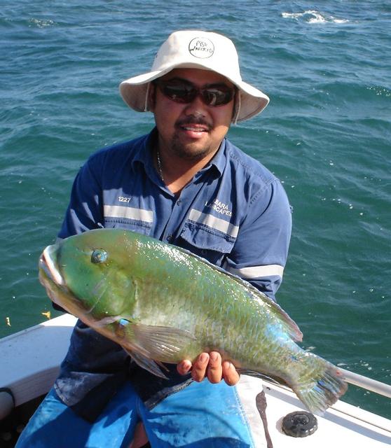 Five Fathom Bank Baldie Five Fathom Bank Baldie