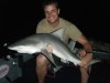 Brisbane River Bull Shark