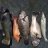 Mandurah feed 19/01/2019 Mandurah feed 19/01/2019