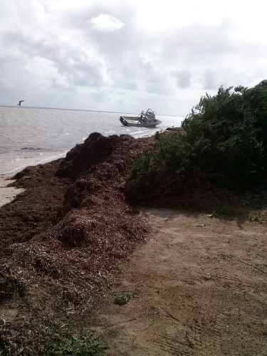 After the storm last Saturday After the storm last Saturday