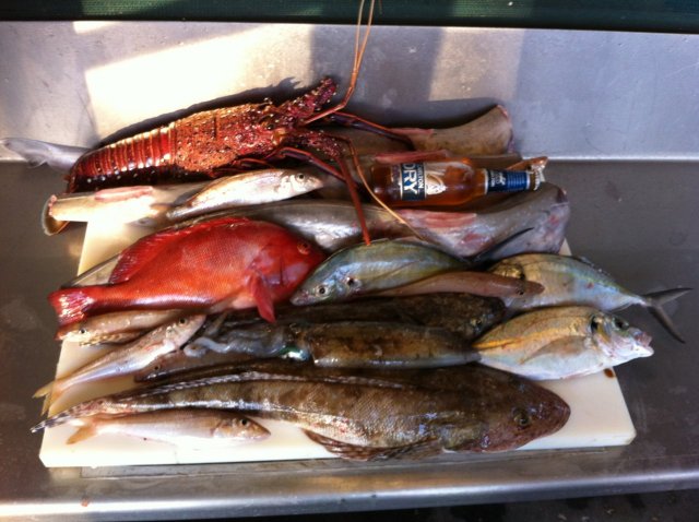 Saturdays Catch