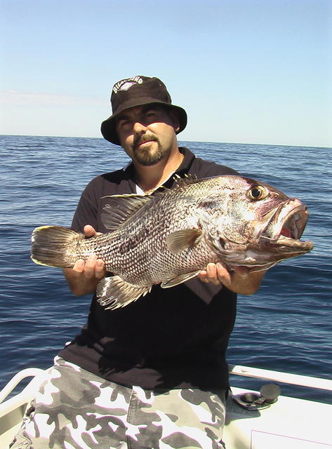 Tapout Dhuie 5.5kgs 18/03/07 Tapout Dhuie 5.5kgs 18/03/07