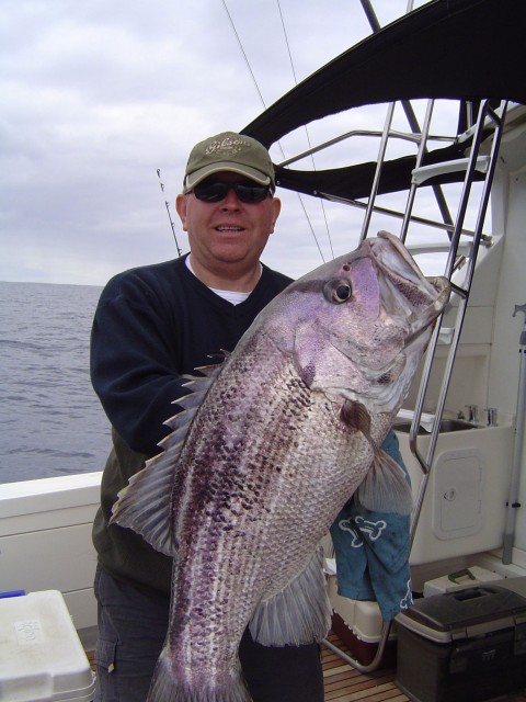 Ray's Dhuie Ray's Dhuie