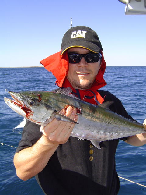 Rory of Arabia Rory of Arabia