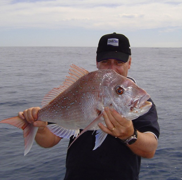 Mindarie Pinky 15 October 2006 Mindarie Pinky 15 October 2006