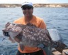 Rankin Cod off Carnarvon