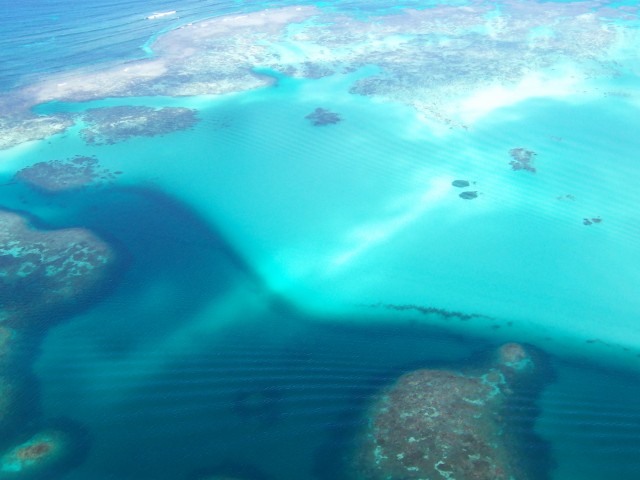 Abrolhos Islands Coral Spawn Event