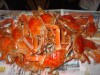 Swan Crabs Swan Crabs