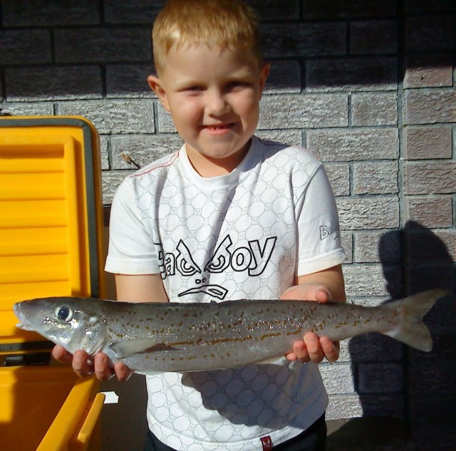 Jack and the Stonka Whiting