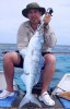8kg Green Jobfish taken in the shallows