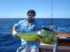 Micktree's Dolphinfish