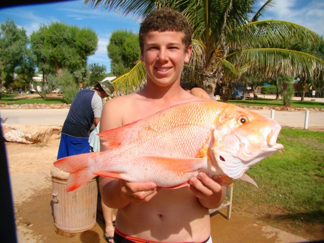 exmouth red