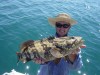 Dampier Fish 11/8