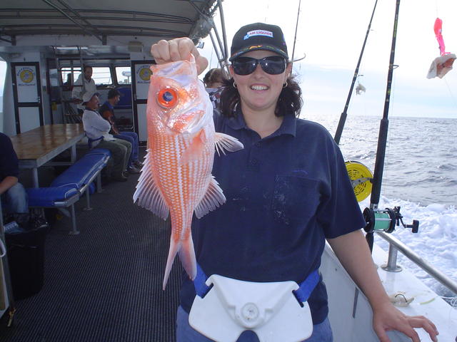 Claires Red Snapper