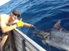 100+ kg Marlin from the Tinny 2