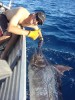 100+ kg Marlin from the Tinny
