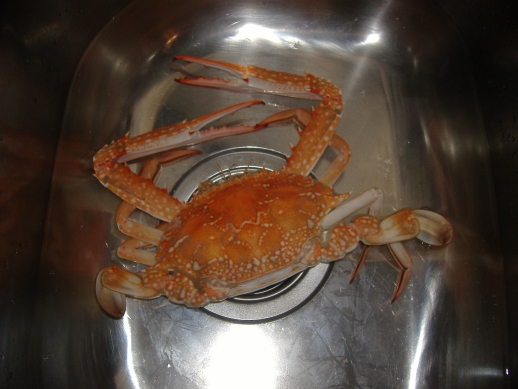 Dinner Tonight.... bluey Dinner Tonight.... bluey