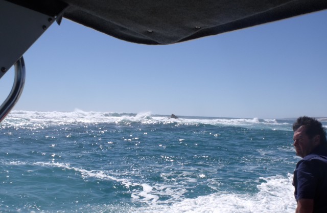 Kalbarri River Mouth Kalbarri River Mouth