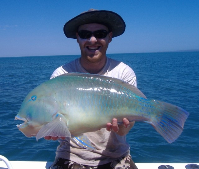 Another pic of Brads PB Bluey Another pic of Brads PB Bluey