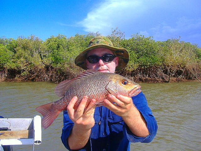 Brads 42cm Jack Brads 42cm Jack