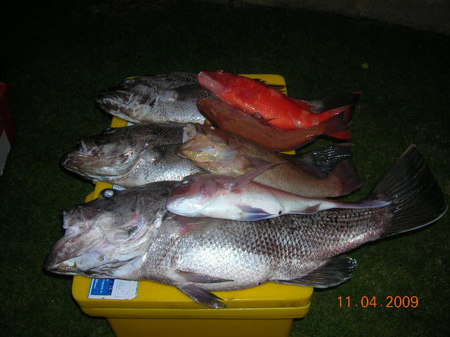Fishing off Mandurah