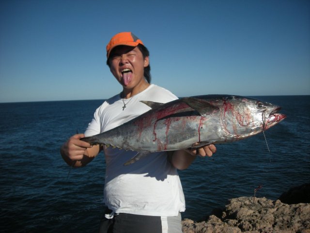 tuna off the rocks