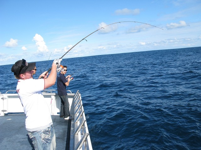 The long battle... The long battle...