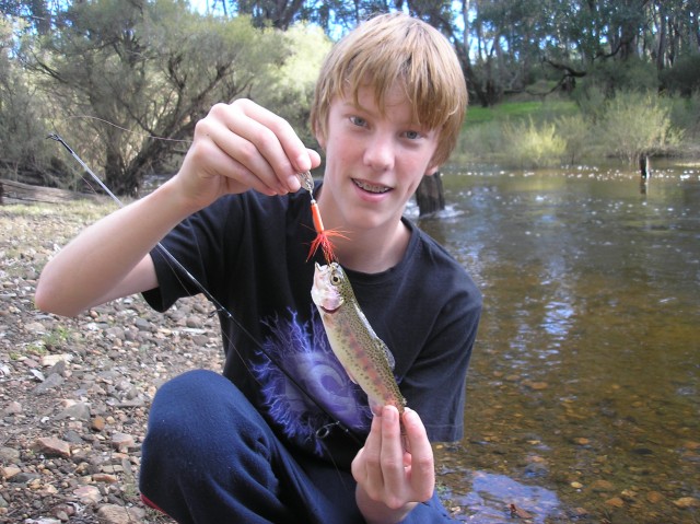 Rainbow trout