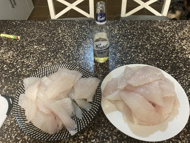 Today’s catch Today’s catch