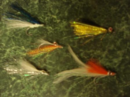 Fly's Fly's