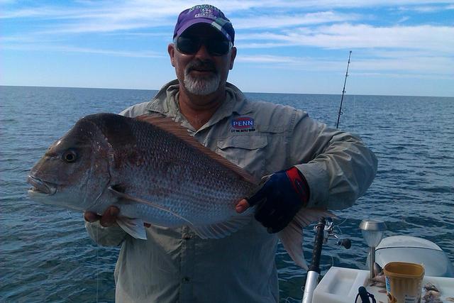 Monkey Mia Pink Snapper Monkey Mia Pink Snapper
