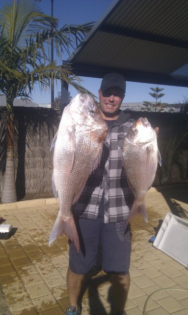 mindarie pinky there on the chew 