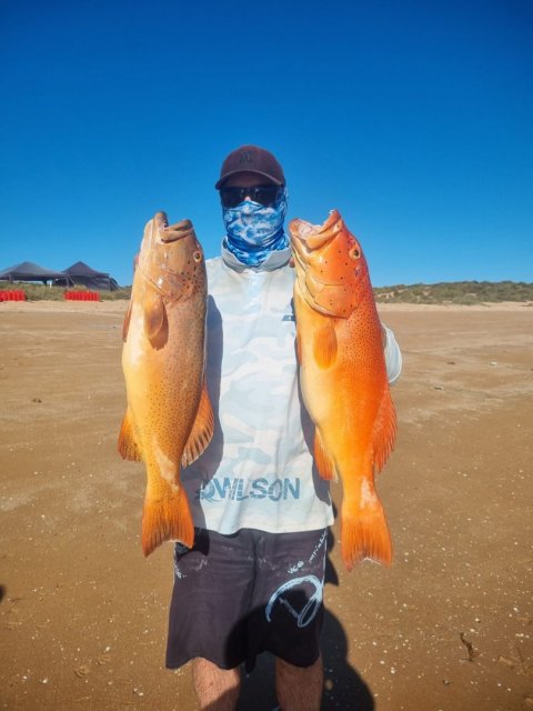 Monties Monties