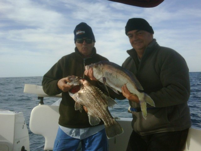 Queen snapper And a dhuie