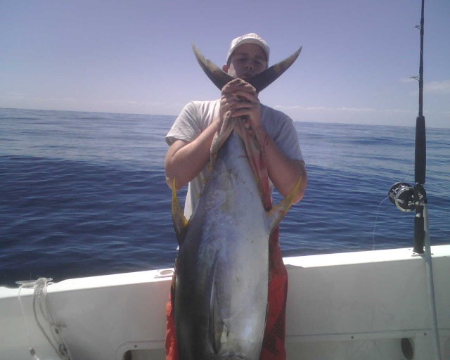 Matt's Yellow Fin Matt's Yellow Fin