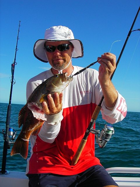 Coral Trout on jig