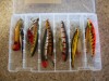 Barra lures